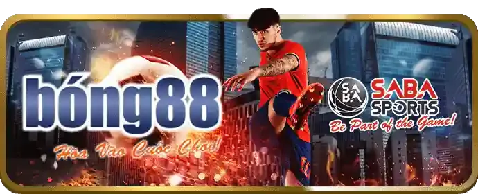 Các chương trình khuyến mãi đặc biệt